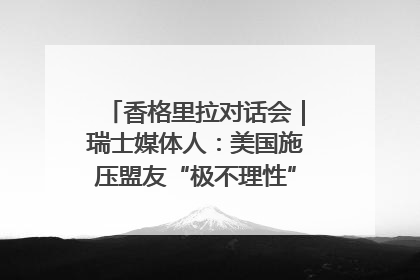 香格里拉对话会｜瑞士媒体人：美国施压盟友“极不理性” 欧洲国家无意与中国“脱钩断链”