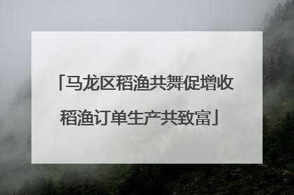 马龙区稻渔共舞促增收 稻渔订单生产共致富