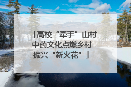 高校“牵手”山村 中药文化点燃乡村振兴“新火花”
