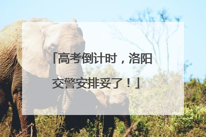 高考倒计时，洛阳交警安排妥了！