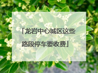 龙岩中心城区这些路段停车要收费