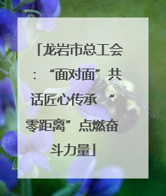 龙岩市总工会：“面对面”共话匠心传承 “零距离”点燃奋斗力量