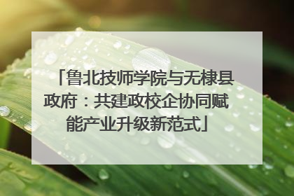 鲁北技师学院与无棣县政府：共建政校企协同赋能产业升级新范式