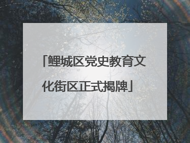 鲤城区党史教育文化街区正式揭牌