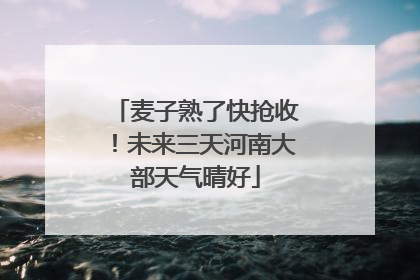 麦子熟了快抢收！未来三天河南大部天气晴好