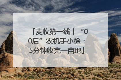 麦收第一线丨“00后”农机手小徐：5分钟收完一亩地