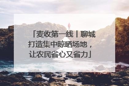 麦收第一线丨聊城打造集中晾晒场地，让农民省心又省力