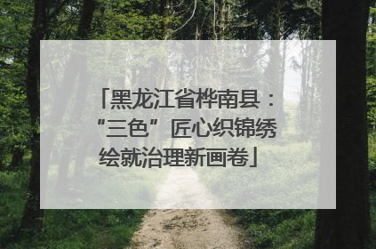 黑龙江省桦南县：“三色”匠心织锦绣 绘就治理新画卷