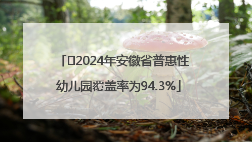 ﻿2024年安徽省普惠性幼儿园覆盖率为94.3%