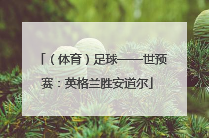 （体育）足球——世预赛：英格兰胜安道尔