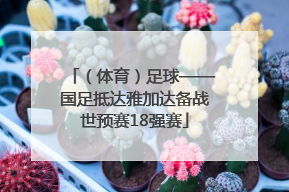 （体育）足球——国足抵达雅加达备战世预赛18强赛