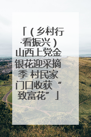 （乡村行·看振兴）山西上党金银花迎采摘季 村民家门口收获“致富花”