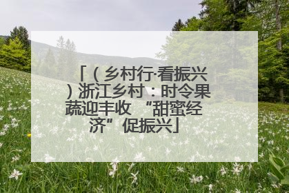 （乡村行·看振兴）浙江乡村：时令果蔬迎丰收 “甜蜜经济”促振兴