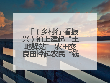 （乡村行·看振兴）镇上建起“土地驿站” 农田变良田撑起农民“钱袋子”