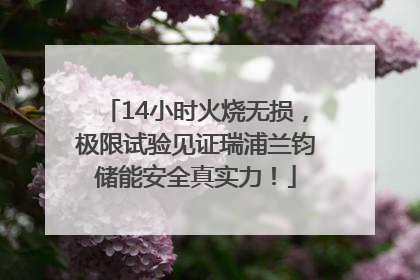 14小时火烧无损，极限试验见证瑞浦兰钧储能安全真实力！