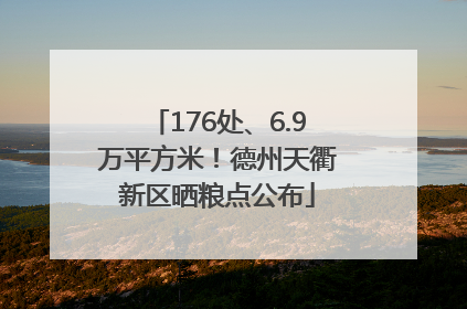 176处、6.9万平方米！德州天衢新区晒粮点公布
