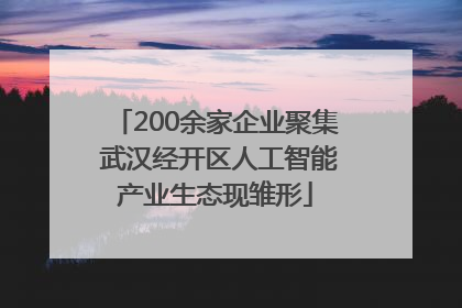 200余家企业聚集 武汉经开区人工智能产业生态现雏形