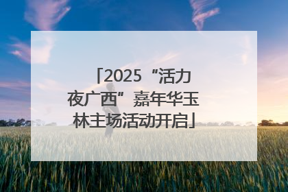 2025“活力夜广西”嘉年华玉林主场活动开启