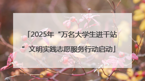 2025年“万名大学生进千站”文明实践志愿服务行动启动