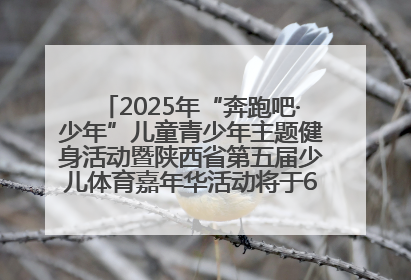 2025年“奔跑吧·少年”儿童青少年主题健身活动暨陕西省第五届少儿体育嘉年华活动将于6月14日正式举办