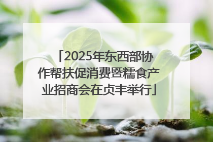 2025年东西部协作帮扶促消费暨糯食产业招商会在贞丰举行