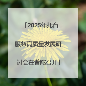 2025年托育服务高质量发展研讨会在普陀召开