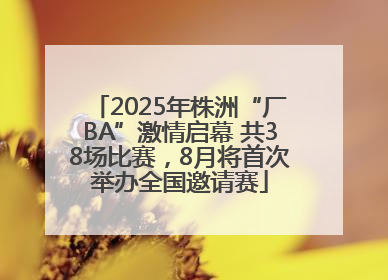 2025年株洲“厂BA”激情启幕 共38场比赛，8月将首次举办全国邀请赛