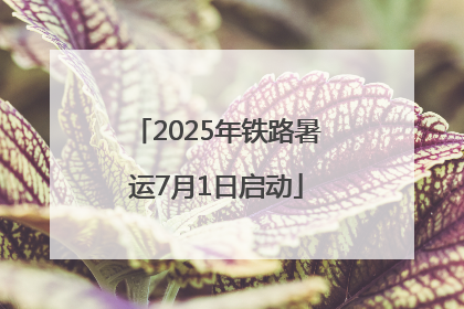 2025年铁路暑运7月1日启动