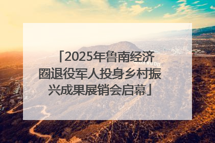 2025年鲁南经济圈退役军人投身乡村振兴成果展销会启幕
