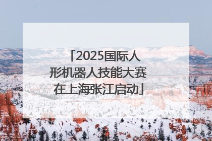 2025国际人形机器人技能大赛在上海张江启动