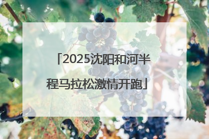 2025沈阳和河半程马拉松激情开跑