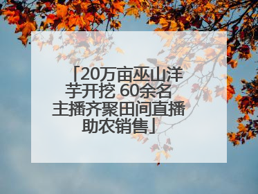 20万亩巫山洋芋开挖 60余名主播齐聚田间直播助农销售