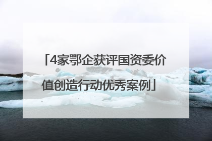 4家鄂企获评国资委价值创造行动优秀案例