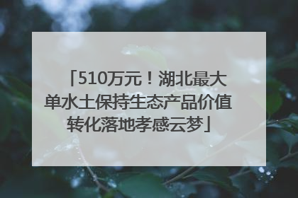 510万元！湖北最大单水土保持生态产品价值转化落地孝感云梦