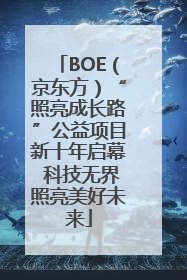 BOE（京东方）“照亮成长路”公益项目新十年启幕 科技无界照亮美好未来