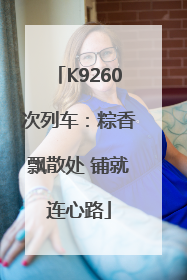K9260次列车：粽香飘散处 铺就连心路